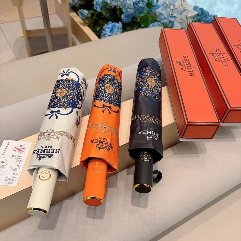 Hermes Umbrella (5)